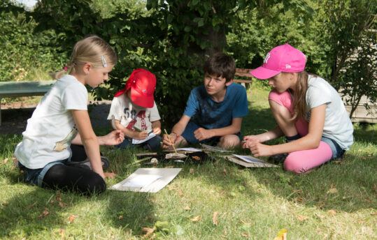 Kinder zeichnen auf einer Wiese