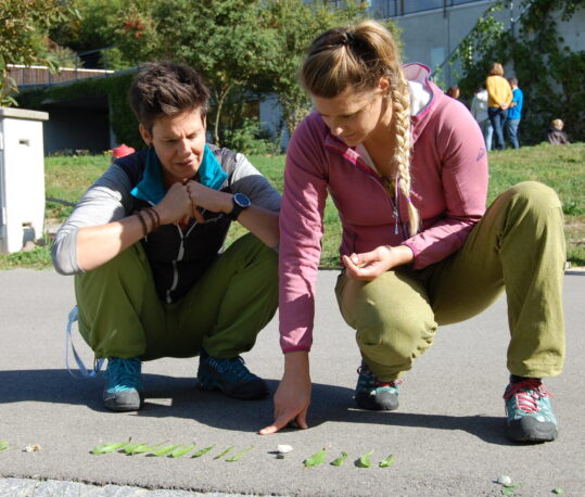 Deux adultes travail dehors