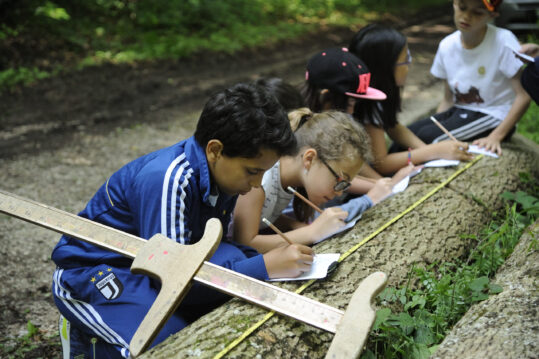 Kinder berechnen das Baumvolumen