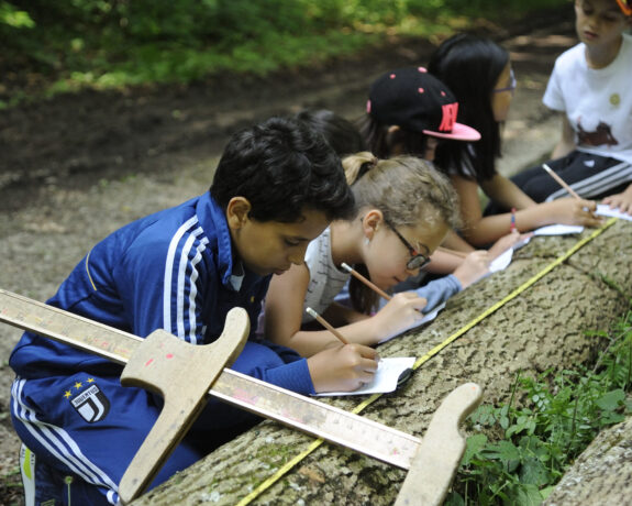 Kinder berechnen das Baumvolumen