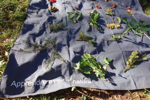 Drap d'animation SILVIVA