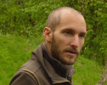 Raffale Pellegrino