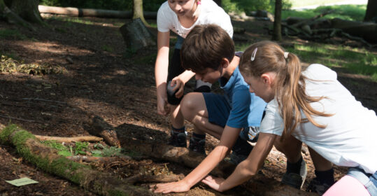 Bambini che selezionano materiale naturale