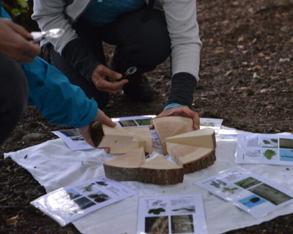 Holzstücke und Flyer