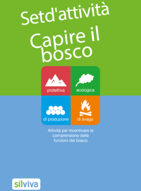 Set d'attività Capire il bosco