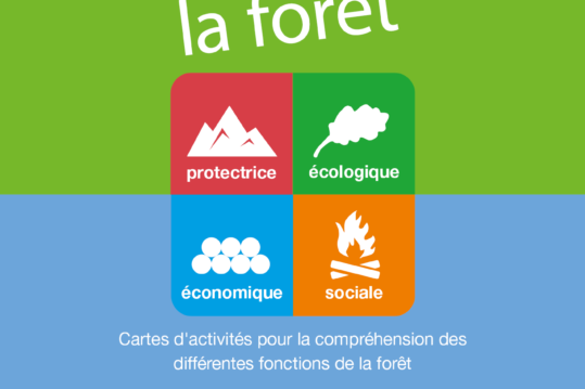 Aperçu du set de cartes comprendre la forêt