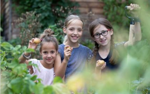 Einen Schulgarten anlegen - vor dem ersten Spatenstich