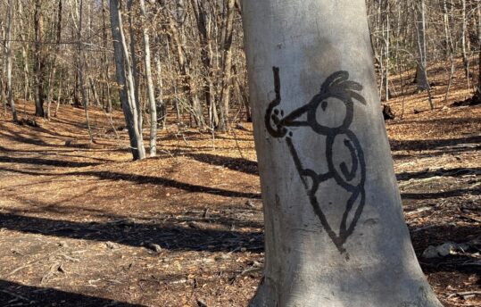 disegno su albero