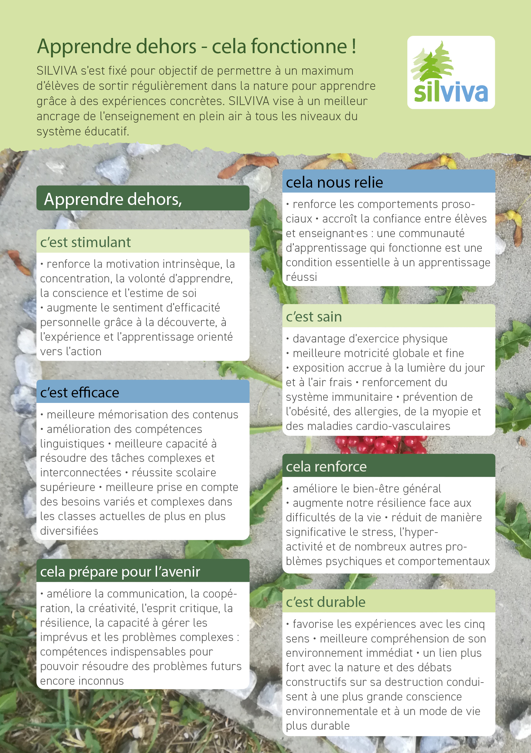 Apprendre dehors – cela fonctionne!